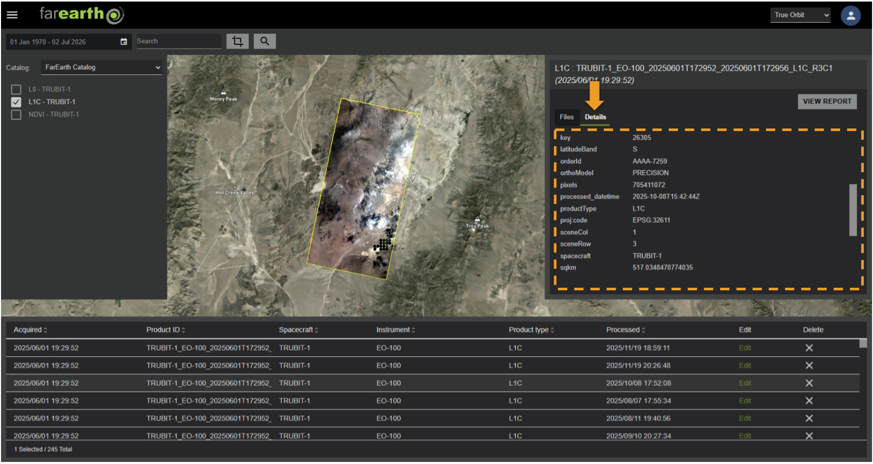 Image showing the Details tab and its metadata attributes
