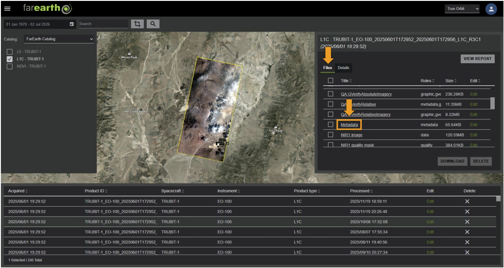 Image showing where to find the metadata file in the Files tab